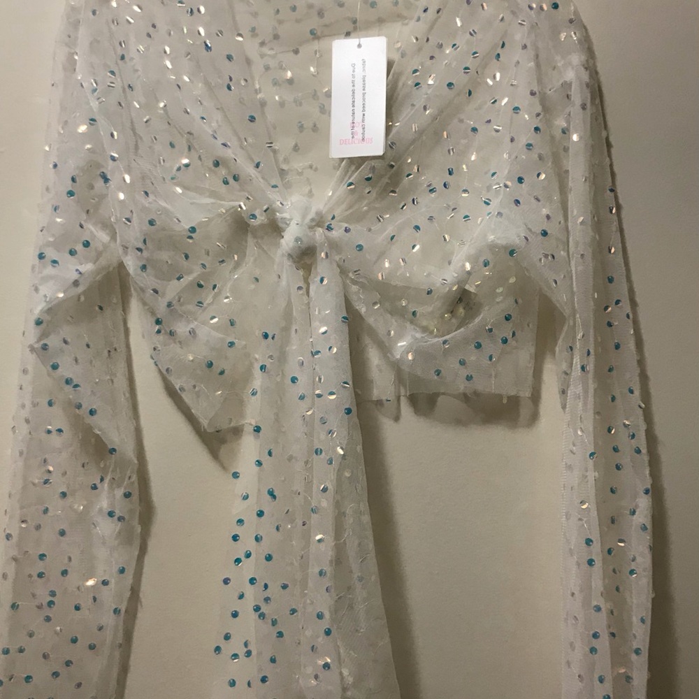 Hot & Delicious Mesh Tie Front Wrap Long Sleeve Cropped Top sparkly sheer